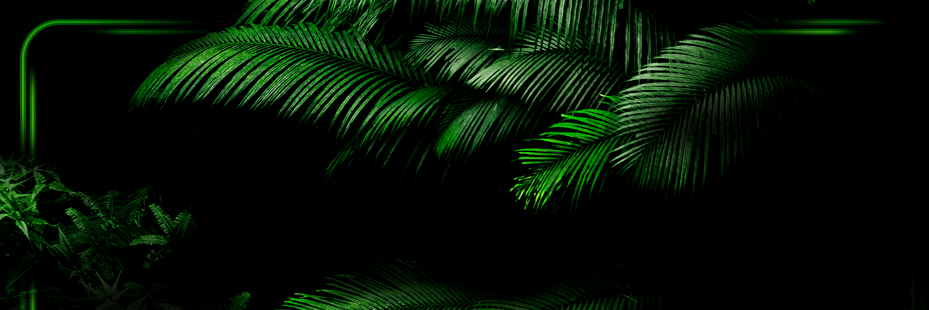 jungle branches