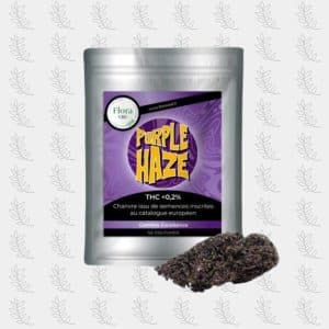 fleur-cbd-purple-haze-flora