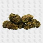 fleurs-thcp-amnesia