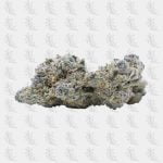 fleurs-thcp-okiweed-amnesia-kush-18