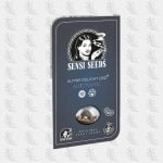 graines-de-alpine-delight-cbd-automatic-sensi-seeds