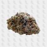weed-side-story-gelato-cbd