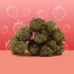 Strawberry CBD - Greenhouse - Mama Kana