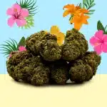 Hawaiian CBD - Indoor - Mama Kana