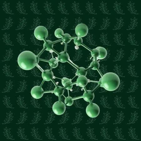 Innovations cannabinoïdes