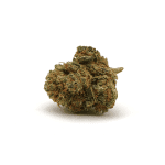 Mango Kush CBD Greenhouse - CBDSol