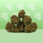 Fleurs Amnesia CBD