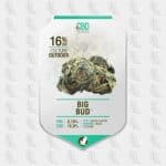 big-bud-cbdpaschere