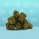 Cookie Kush CBD - Indoor - Mama Kana