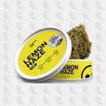 fleur-cbd-lemon-haze-calilab-tealerlab