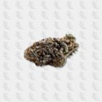 fleur-thc-p-purple-haze-hhcpshop