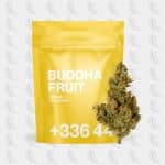 fleurs-cbd-buddha-fruit-tealerlab