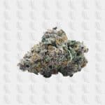 harlequin-indoor-23-cbd-okiweed