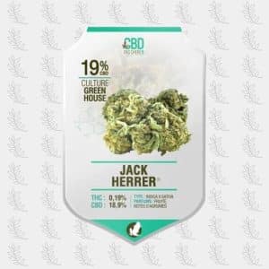 jack-herrer-cbdpaschere