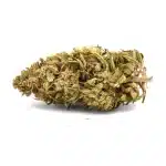 Blue Dream CBG Greenhouse - CBDSol