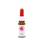 Huile CBD pour chien (Boeuf) - CBDSol