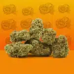 Orange Bud CBD