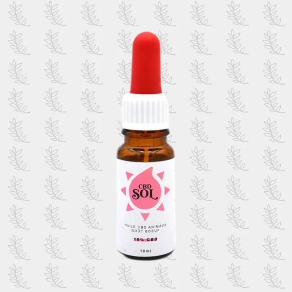 huile-cbd-pour-chien