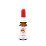 Huile CBD pour chat (Saumon) - CBDSol