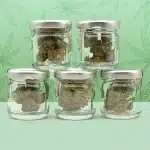 pack Decouverte Fleurs CBD