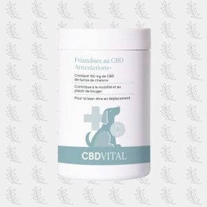CBD-pour-chiens-_-Friandises-_-Protection-des-articulations