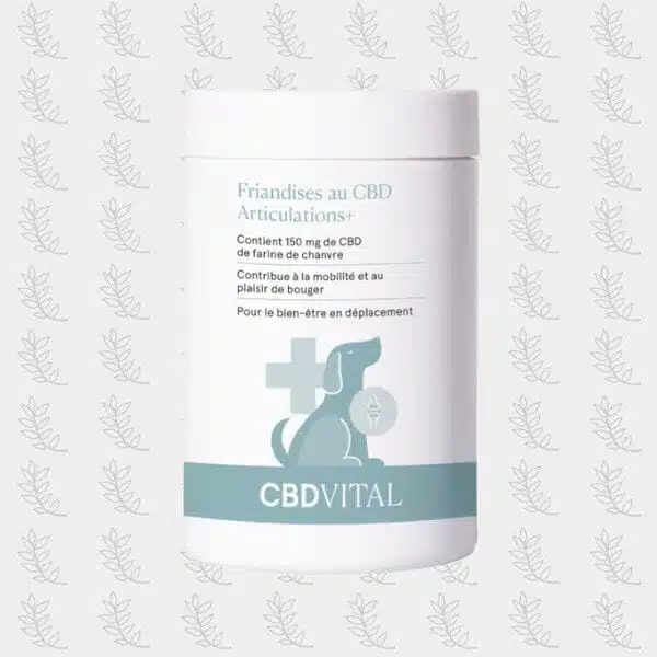 CBD-pour-chiens-_-Friandises-_-Protection-des-articulations