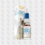 huile-de-cbd-pour-chats