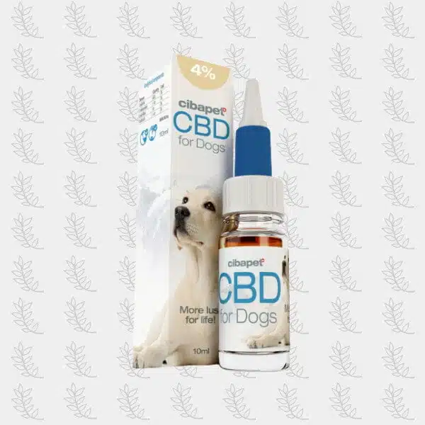 huile-de-cbd-pour-chiens