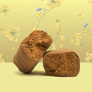 CBD Résine le jaune