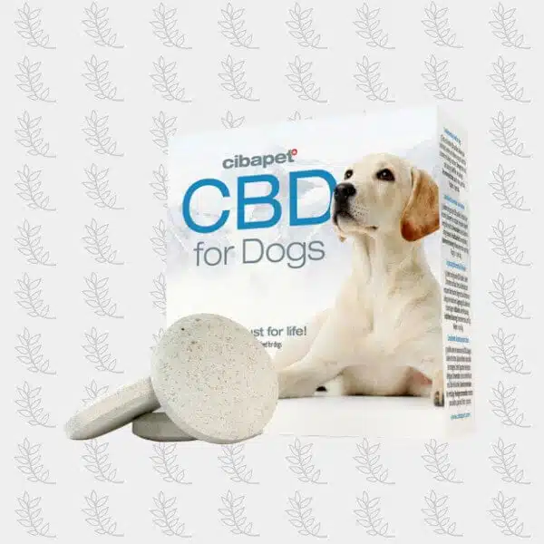 pastilles-de-CBD-pour-chiens