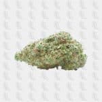 Bluedream _ THV-N10 _ Indoor