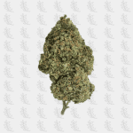 Gelato OG TH-X - Magic High