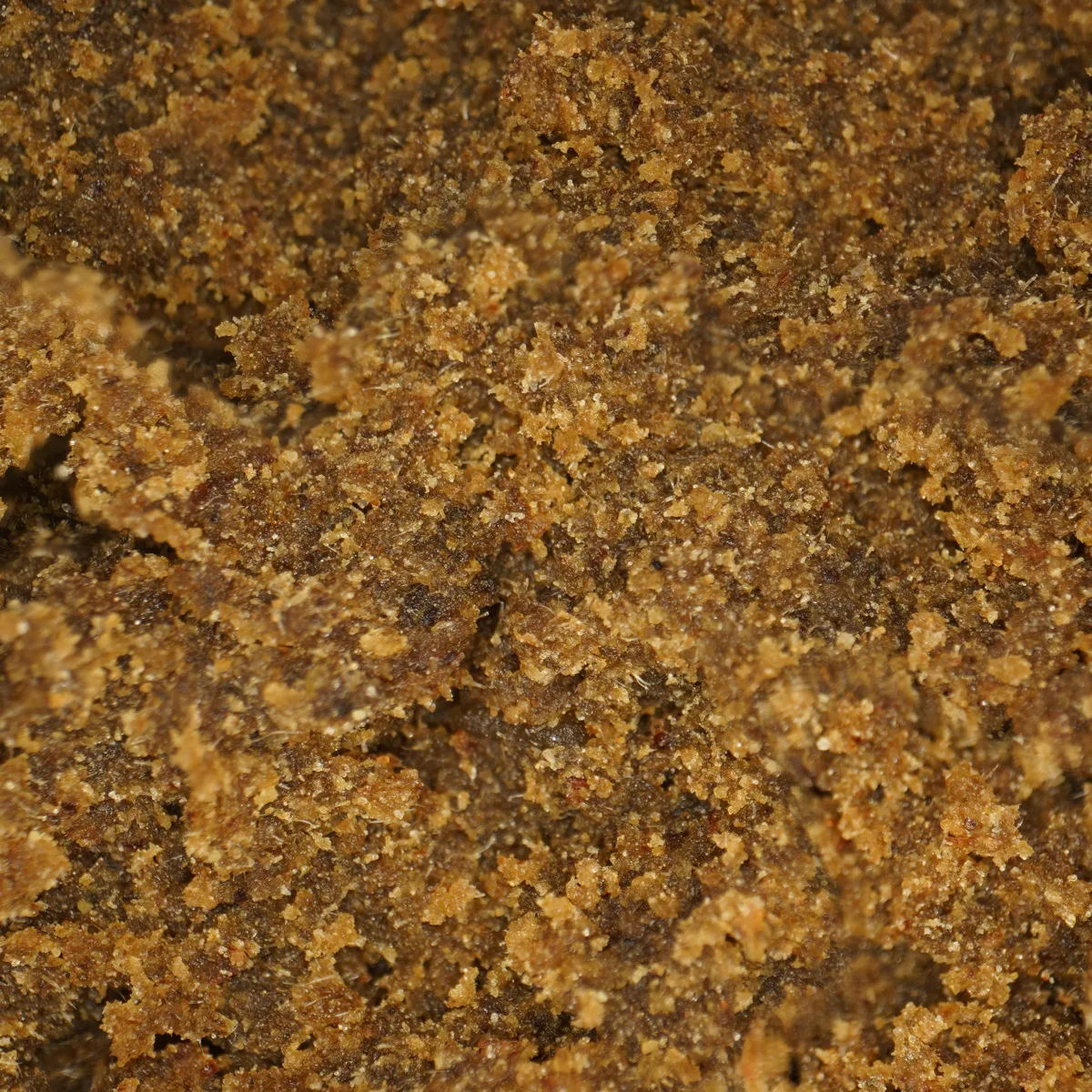 Aya CBD Zoom