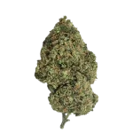 CRITICAL 2.0 CBD - Magic CBD