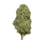 Gorillia Glue CBD - Magic CBD