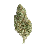 Amnesia Kush CBD - Magic CBD