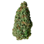 White Widow CBD - Magic CBD