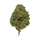 Amnesia 2.0 CBD - Magic CBD