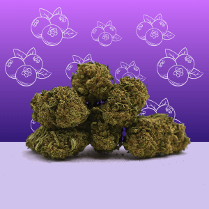Blueberry CBD