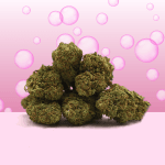 Bubba kush CBD