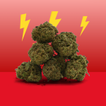 Cannatonic CBD