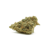 Critical 2.0 CBD