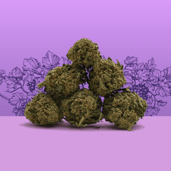 Petites Têtes Cali Grape CBD