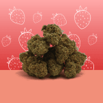 strawberry CBD