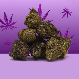 Purple Haze CBD