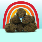 Rainbow Runtz CBD