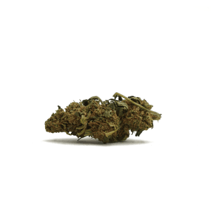 Sour Diesel CBD
