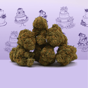 Wedding Cake CBD
