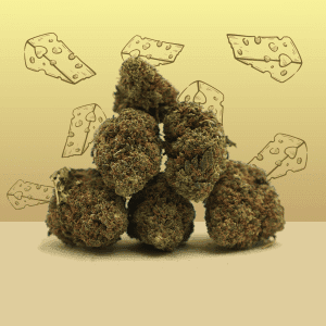 Royal Cheese