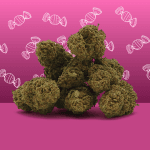 Zkittlez CBD
